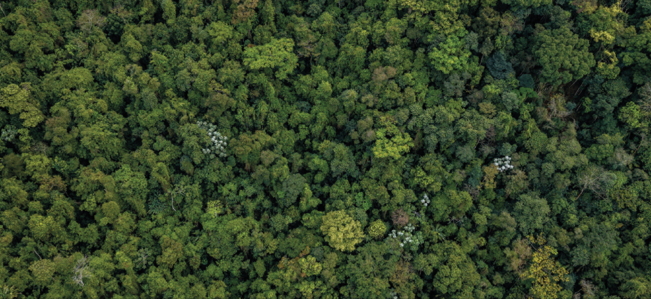 Rencontre BS Club à Chantilly