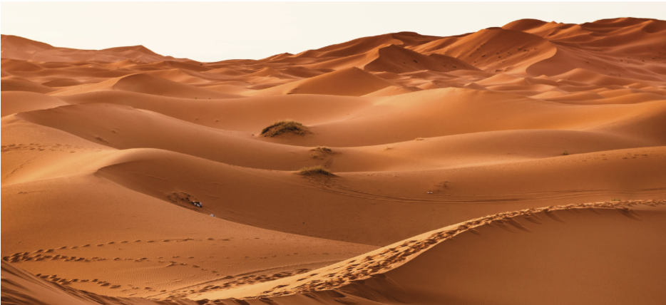 Rencontre BS Club à Marrakech